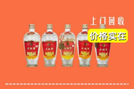 诚信求购:儋州高价回收老五粮液